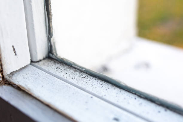 Best Forensic Mold Investigation  in Hennessey, OK